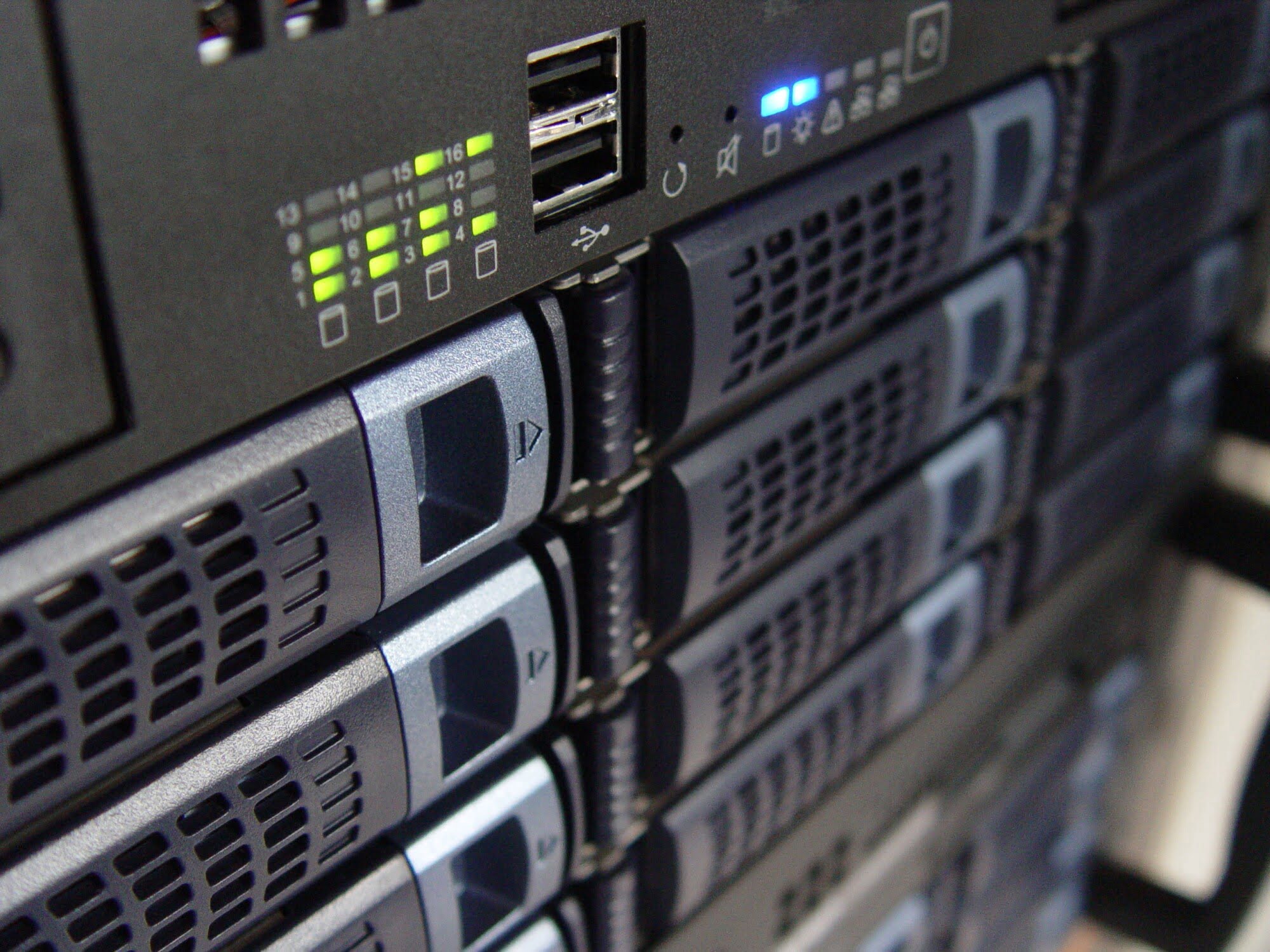 Dedicated Server Host 101: Keeping Your Website Reliable and Secure