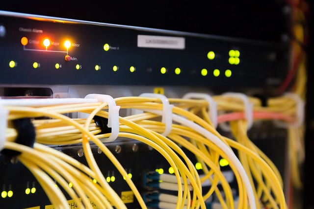 What Are Self-Managed, Managed, and Fully Managed Dedicated Servers?