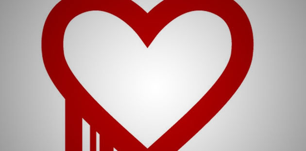 The HeartBleed Vulnerability