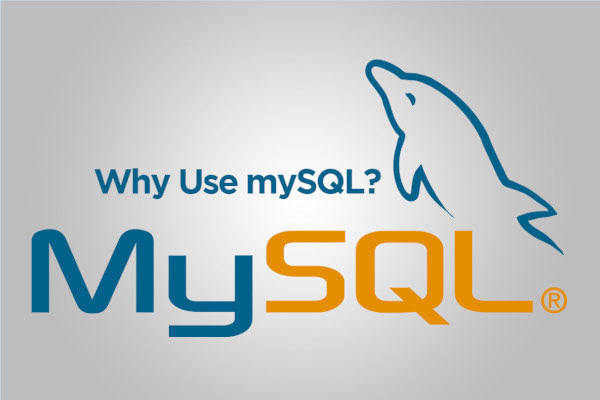 Why You Should Be Using MySQL for your website