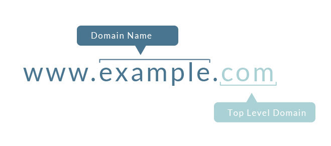 Why Do I Need A Domain Name?