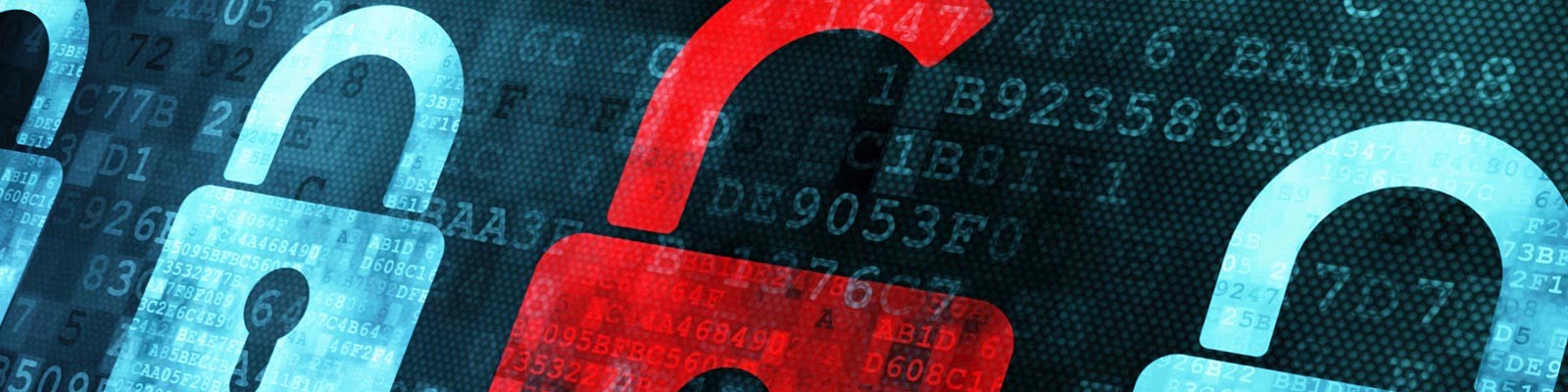 wild card ssl certificates for websites
