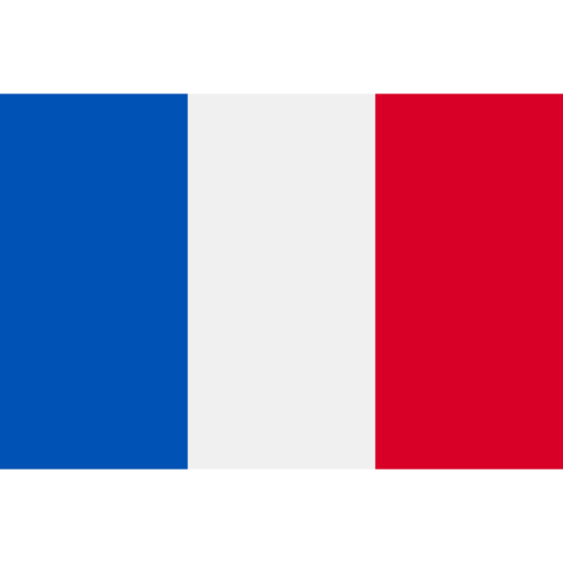  Hosting Solutions for France