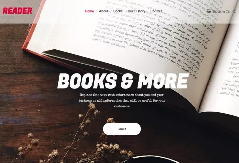 Books & More online store template for website